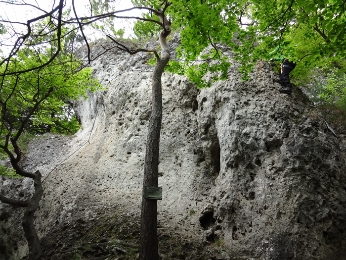 Höhenglücksteig 02795.JPG