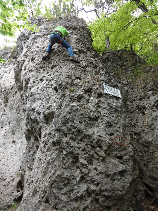 Höhenglücksteig 02851.JPG