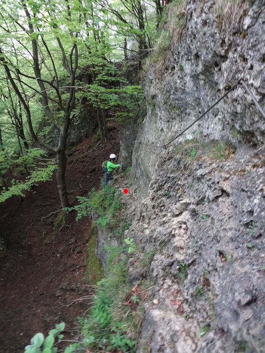 Höhenglücksteig 02897.JPG