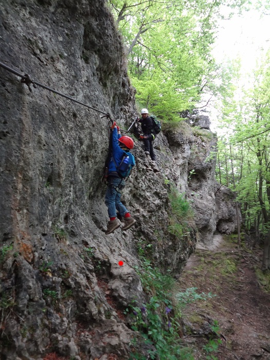 Höhenglücksteig 02906.JPG