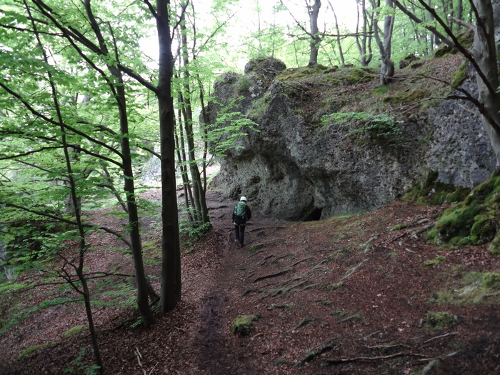 Höhenglücksteig 02971.JPG