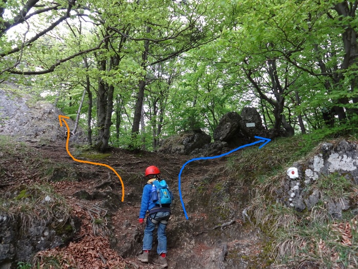 Höhenglücksteig 02974.JPG