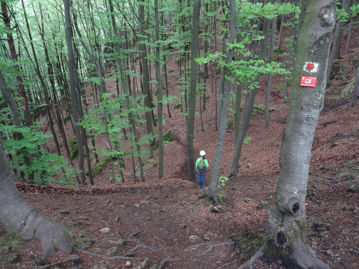 Höhenglücksteig 02979.JPG