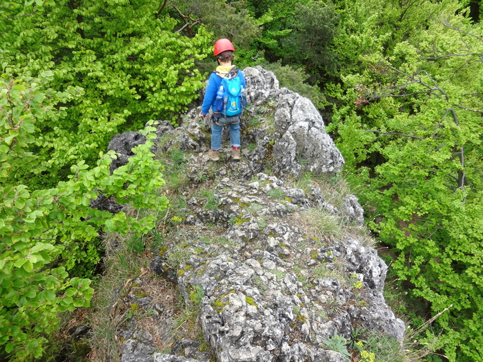 Höhenglücksteig 03008.JPG
