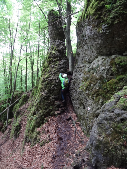 Höhenglücksteig 03124.JPG