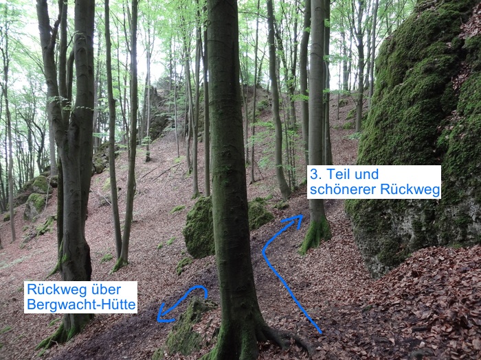 Höhenglücksteig 03187.JPG