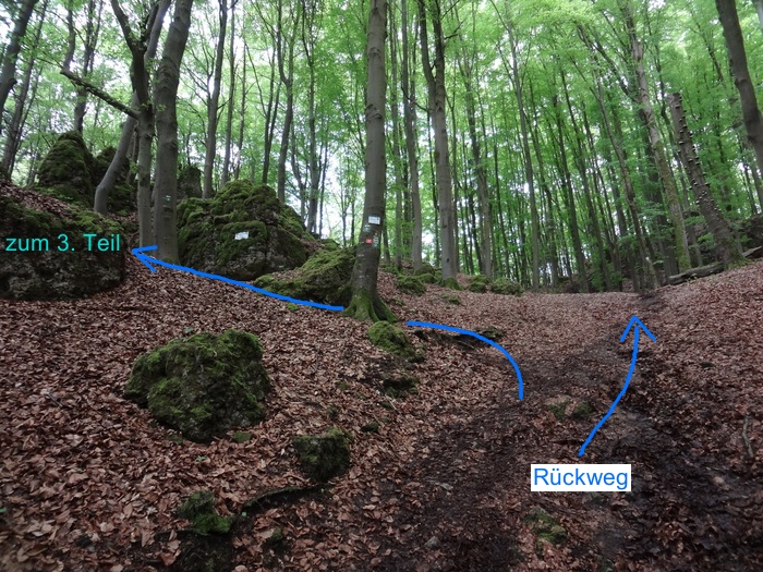 Höhenglücksteig 03192.JPG