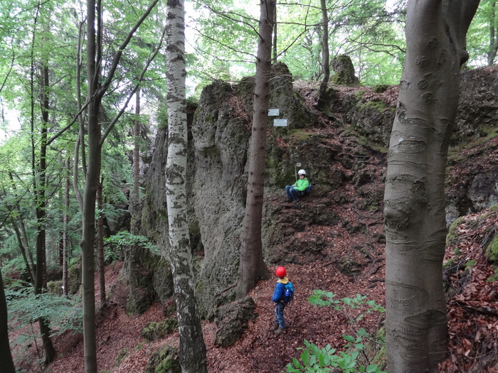 Höhenglücksteig 03206.JPG
