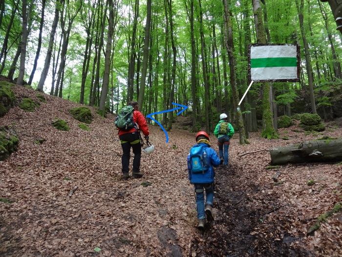 Höhenglücksteig 03230.JPG