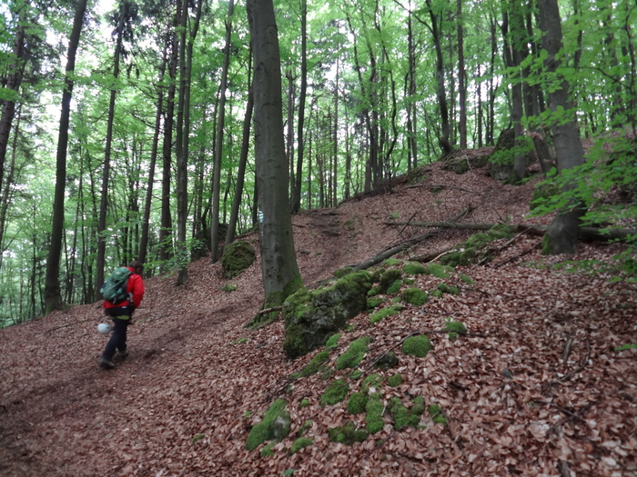 Höhenglücksteig 03233.JPG