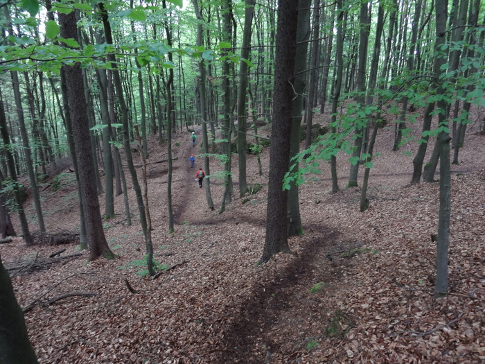 Höhenglücksteig 03237.JPG