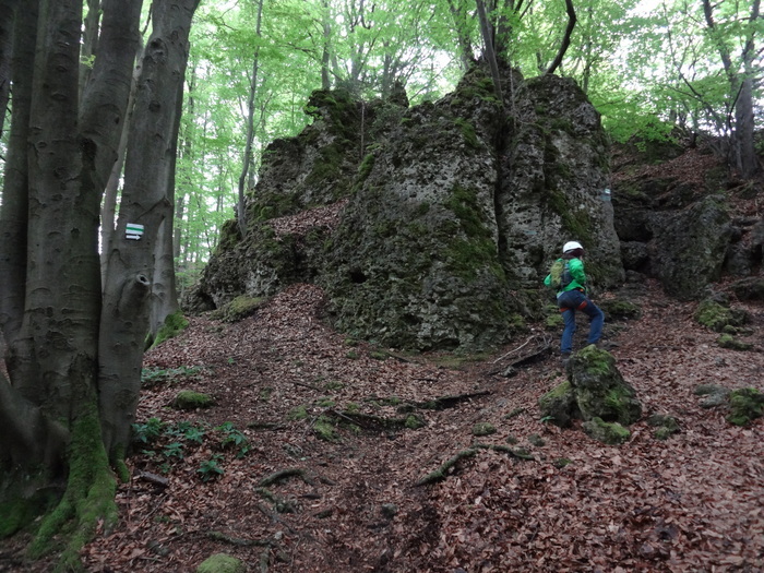 Höhenglücksteig 03245.JPG