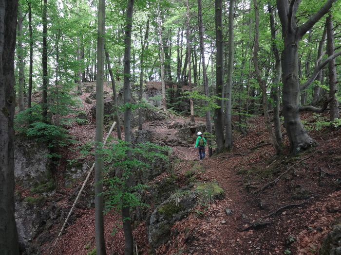 Höhenglücksteig 03248.JPG