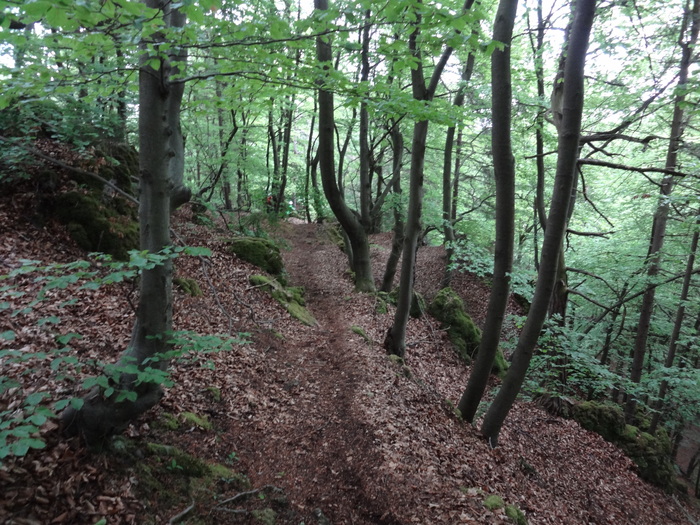 Höhenglücksteig 03256.JPG