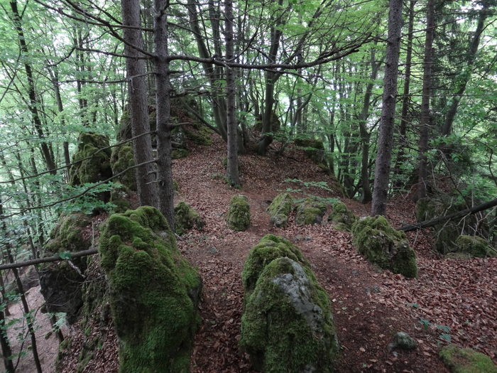 Höhenglücksteig 03259.JPG