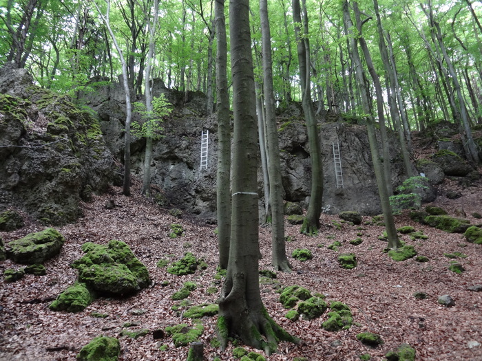 Höhenglücksteig 03285.JPG