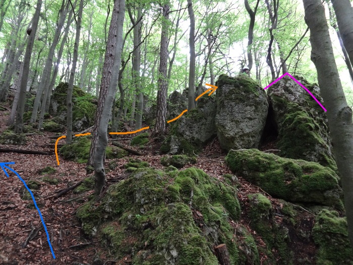 Höhenglücksteig 03293.JPG