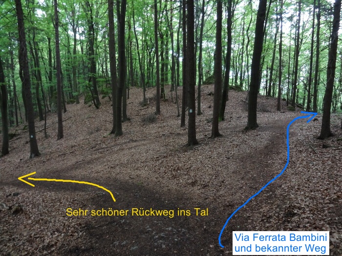 Höhenglücksteig 03357.JPG
