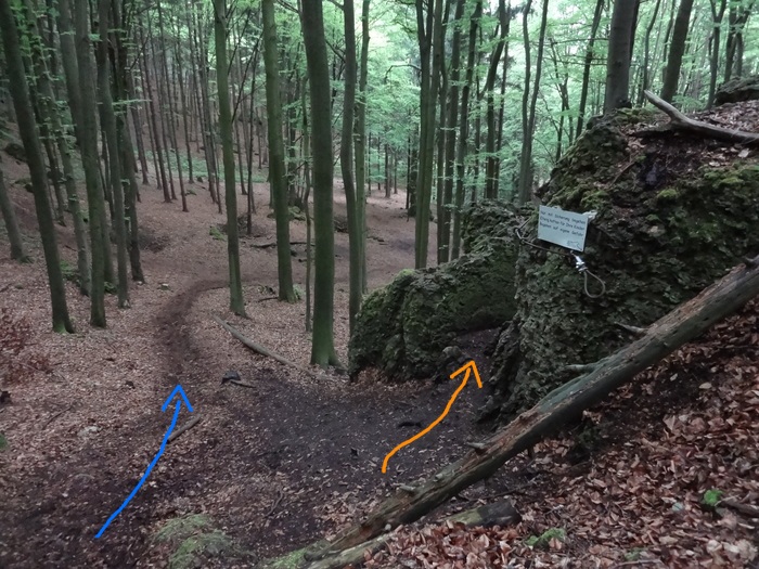 Höhenglücksteig 03363.JPG