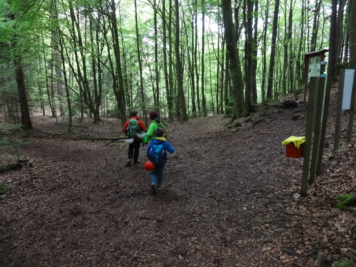 Höhenglücksteig 03367.JPG