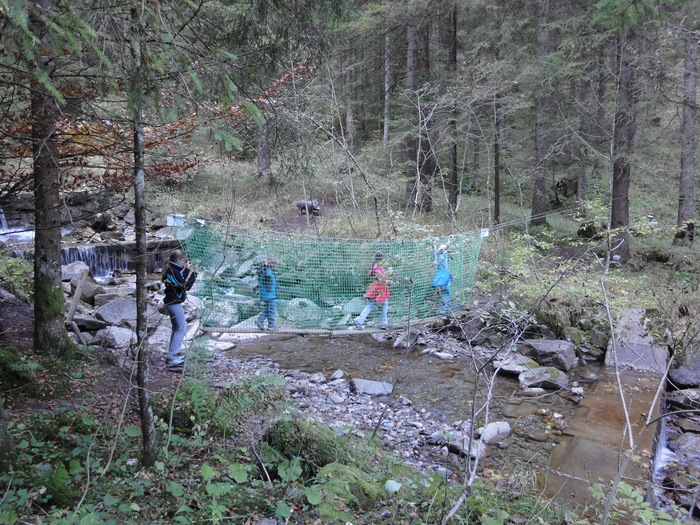 Höllschlucht_2010 07976.JPG