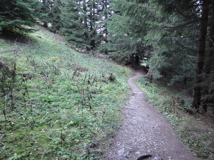 Höllschlucht_2010 08025.JPG