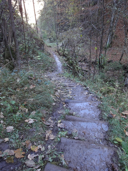 Höllschlucht_2010 08136.JPG