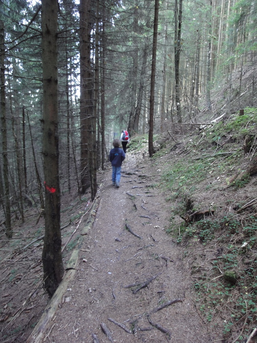 Höllschlucht_2010 08144.JPG