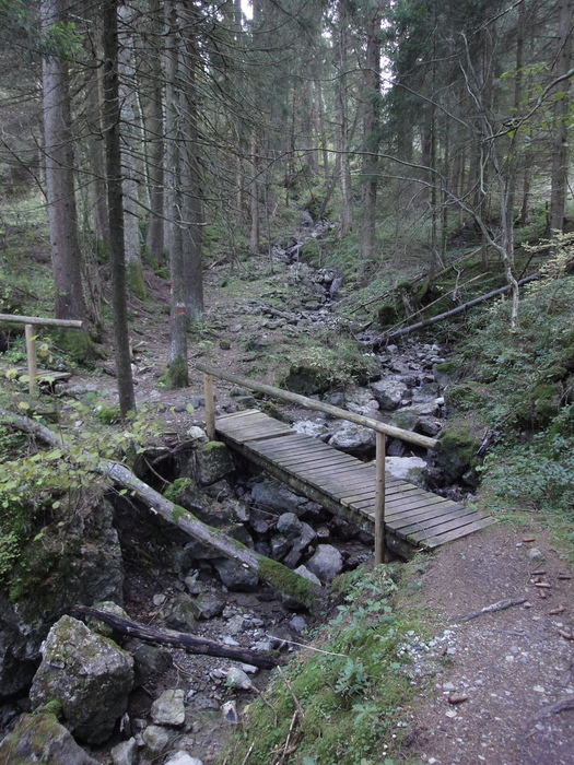 Höllschlucht_2010 08158.JPG