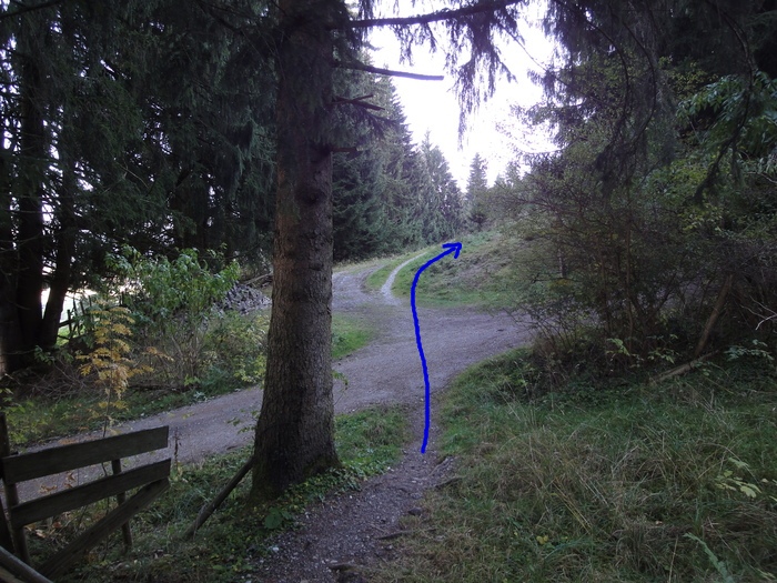 Höllschlucht_2010 08167.JPG