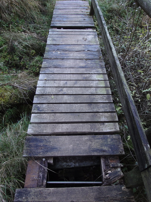 Höllschlucht_2010 08176.JPG