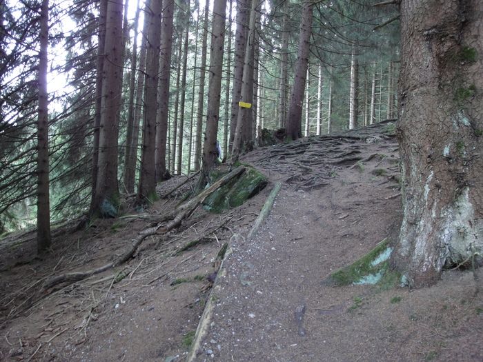 Höllschlucht_2010 08180.JPG