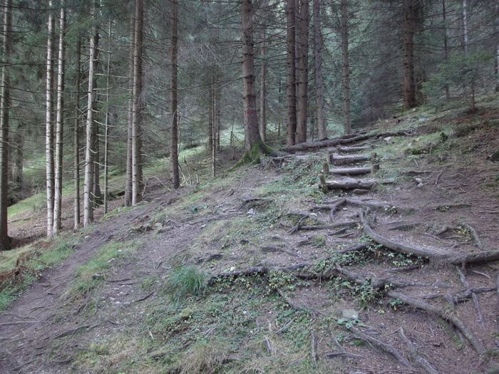 Höllschlucht_2010 08182.JPG