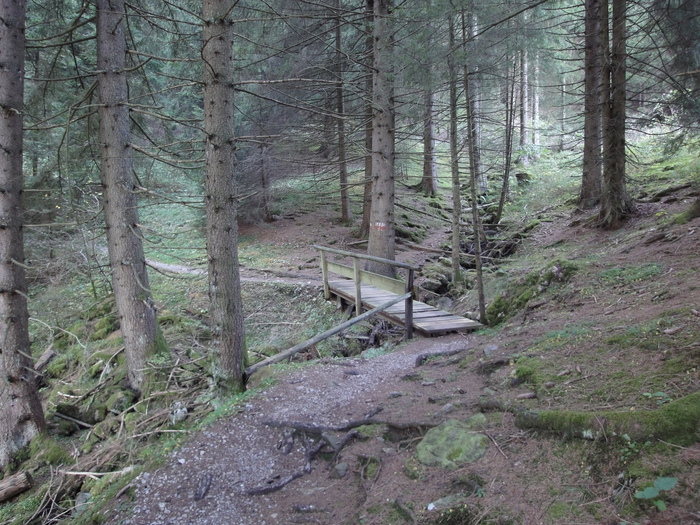 Höllschlucht_2010 08183.JPG