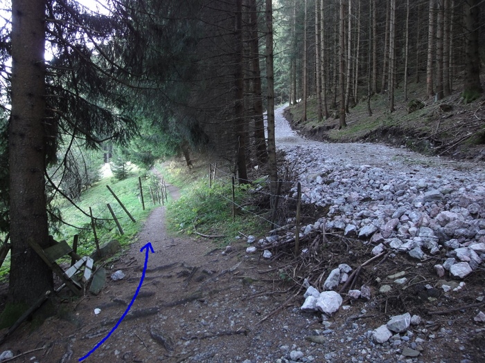 Höllschlucht_2010 08188.JPG