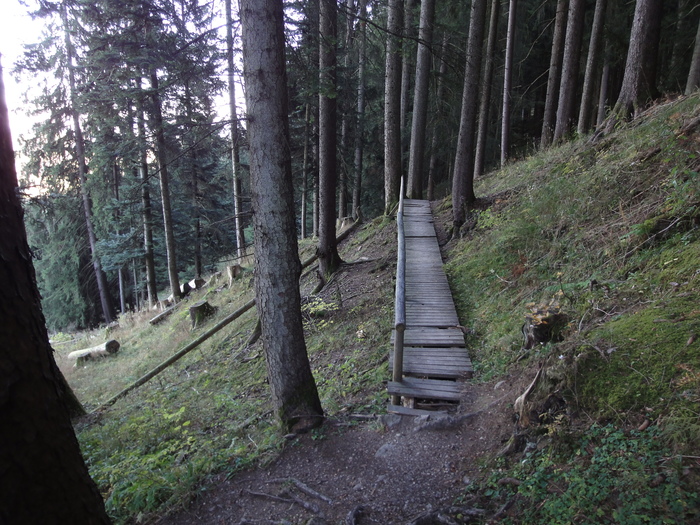 Höllschlucht_2010 08193.JPG