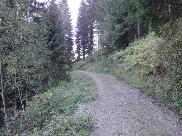 Höllschlucht_2010 08200.JPG