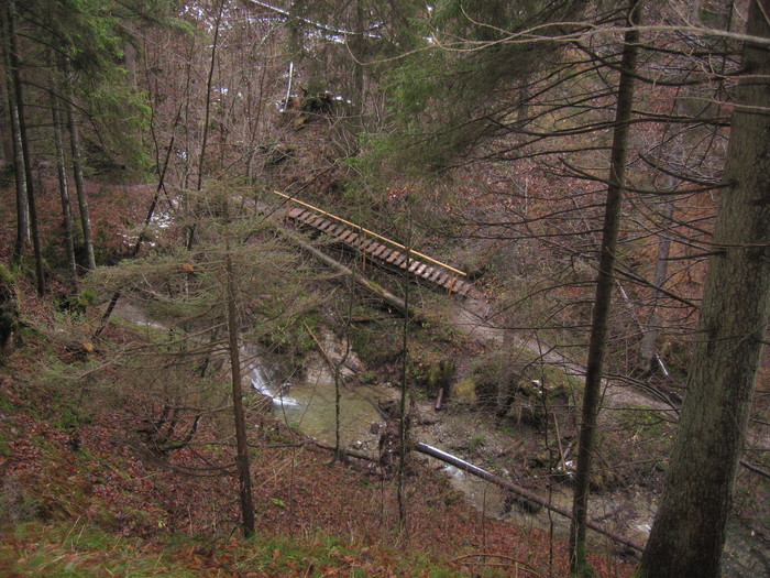 IMG_8337.JPG