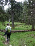 oberreidla