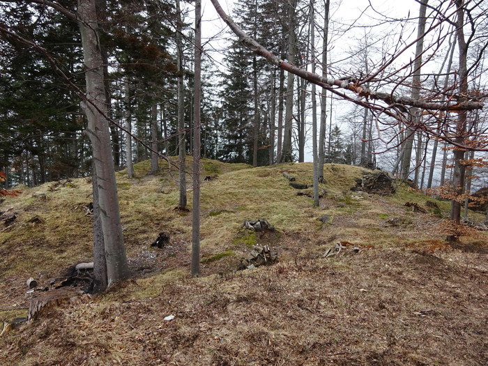 Jochberg 00818.JPG