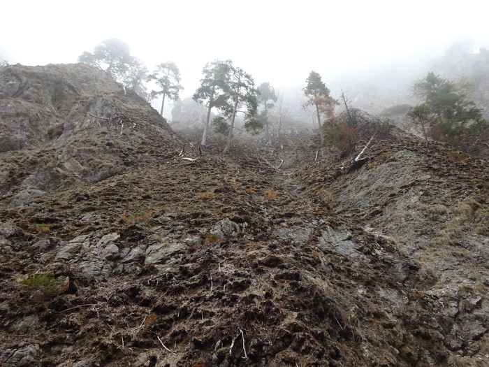Jochberg 01113.JPG