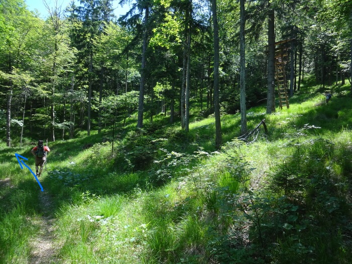 Jochberg 05922.JPG