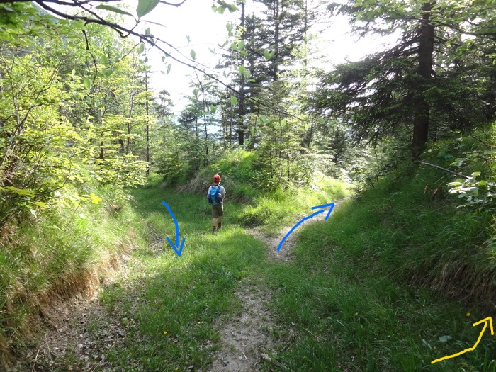 Jochberg 06797.JPG