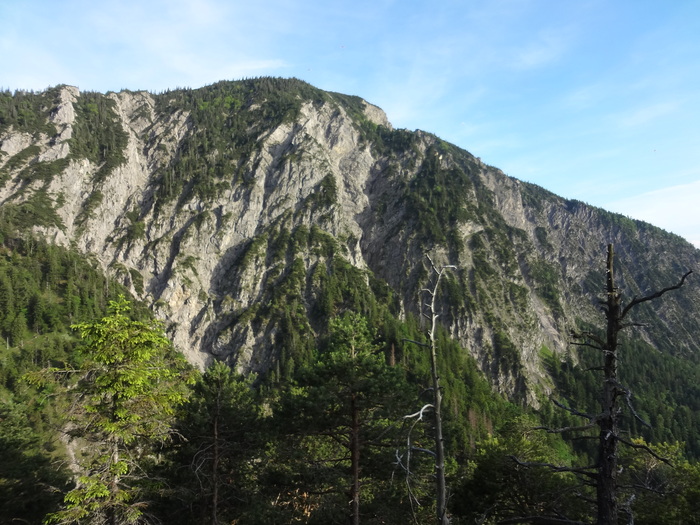 Jochberg 06889.JPG