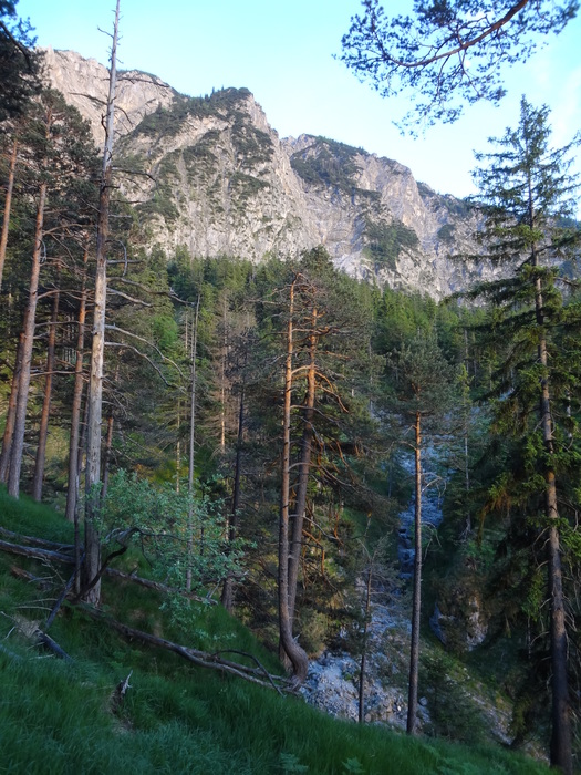 Jochberg 07051.JPG