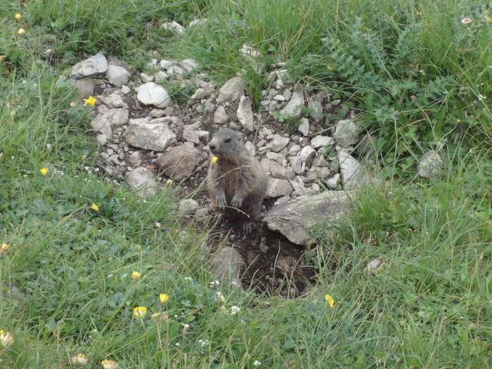 Karhorn-Klettersteig 09061.JPG