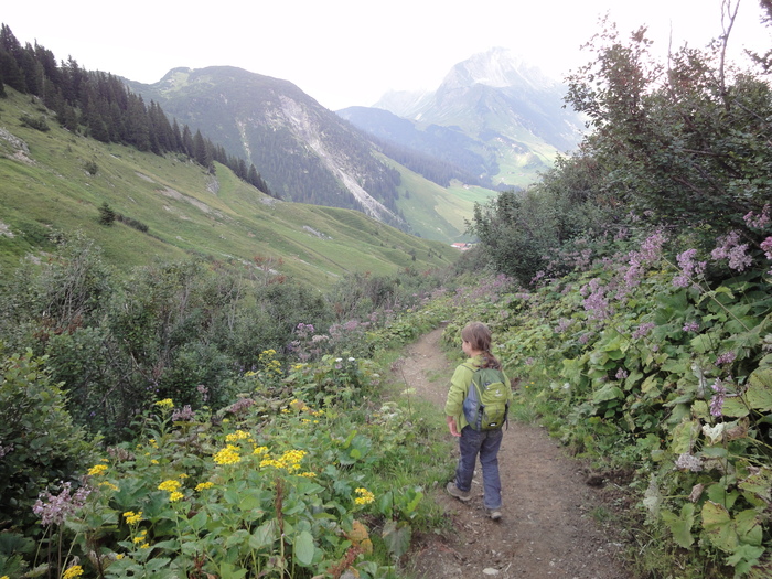 Karhorn-Klettersteig 09100.JPG