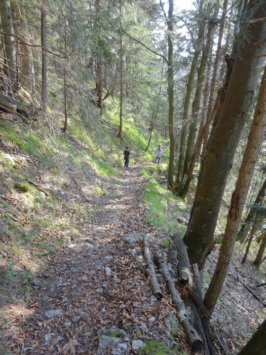 Kitzstein 00236.JPG