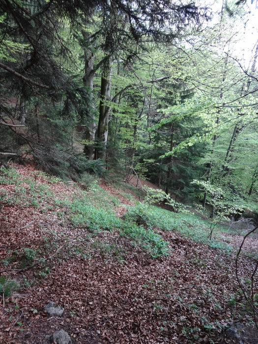Kitzstein 00280.JPG