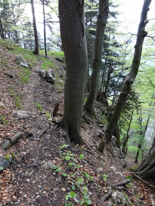 Kitzstein 00289.JPG